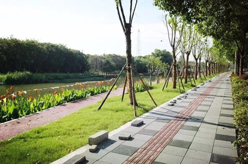 NG28南宫(中国)官方网站